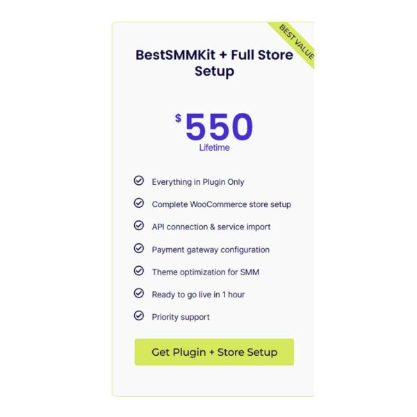 BestSMMKit + Full Store Setup | Complete WordPress SMM Business Solution